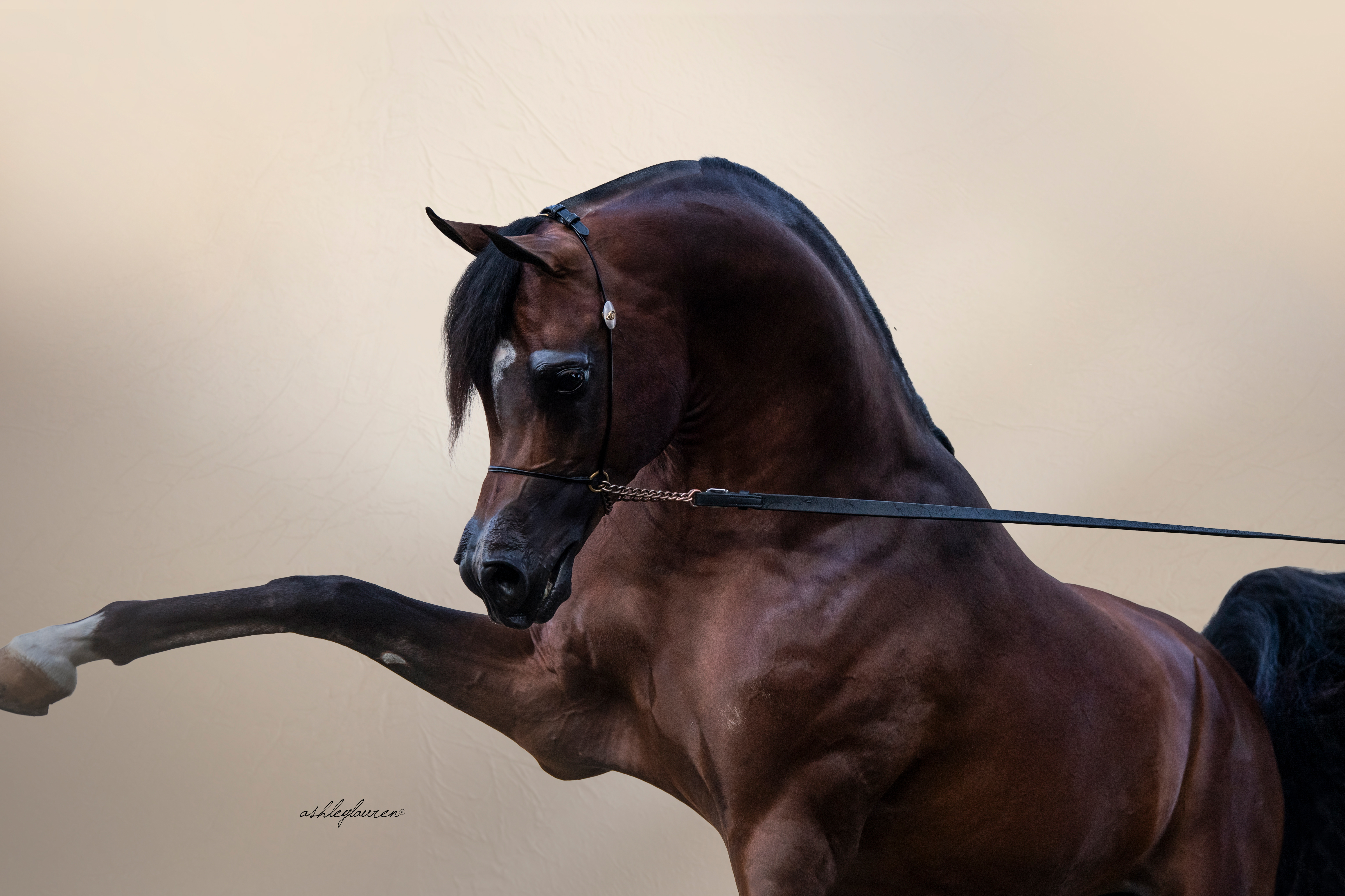 Awesome Image